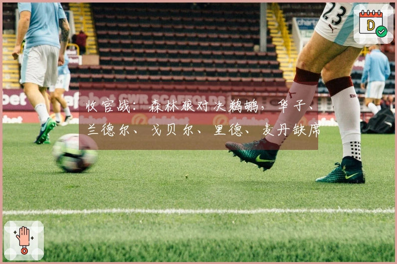 收官战：森林狼对决鹈鹕，华子、兰德尔、戈贝尔、里德、麦丹缺席